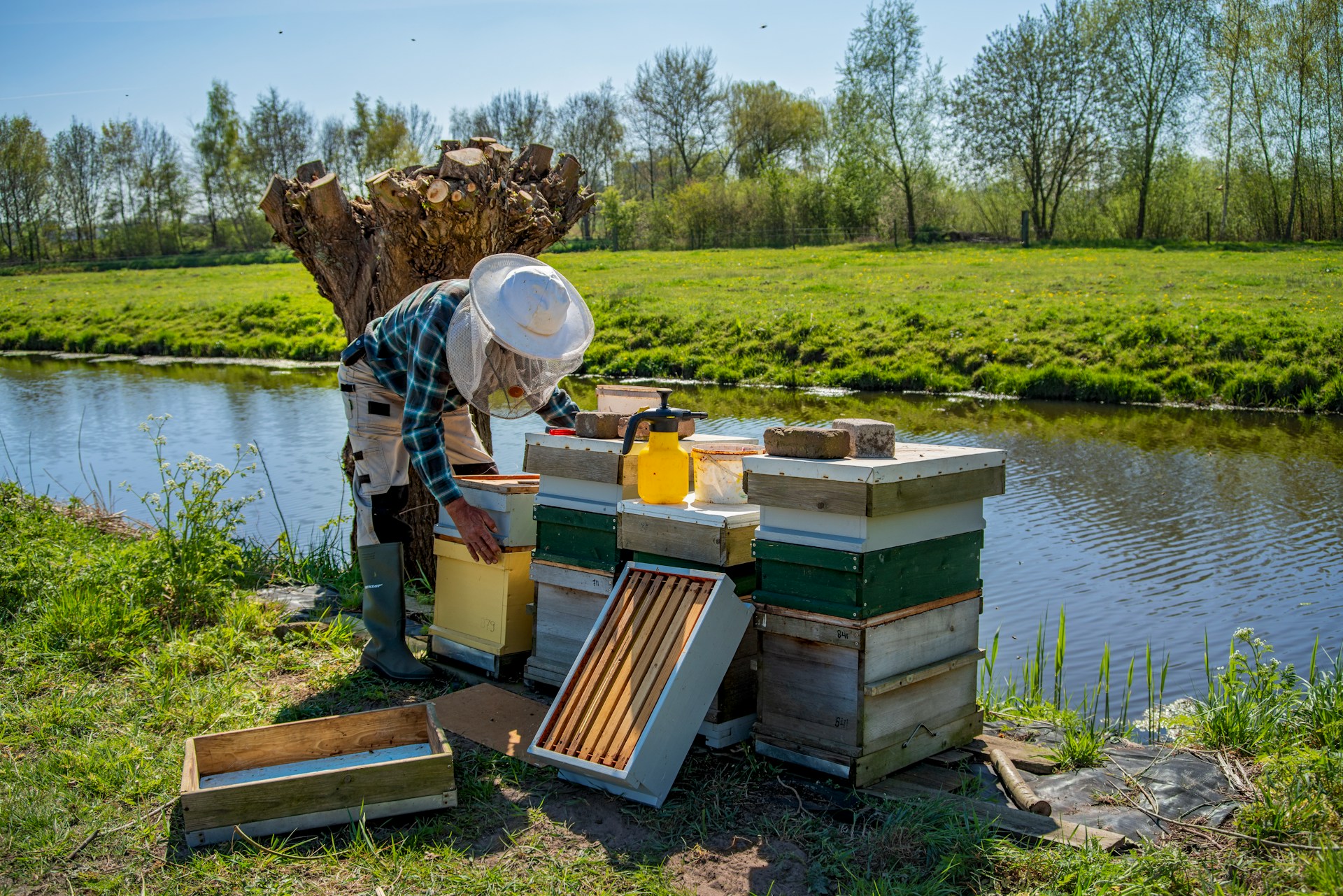 Honey Farm