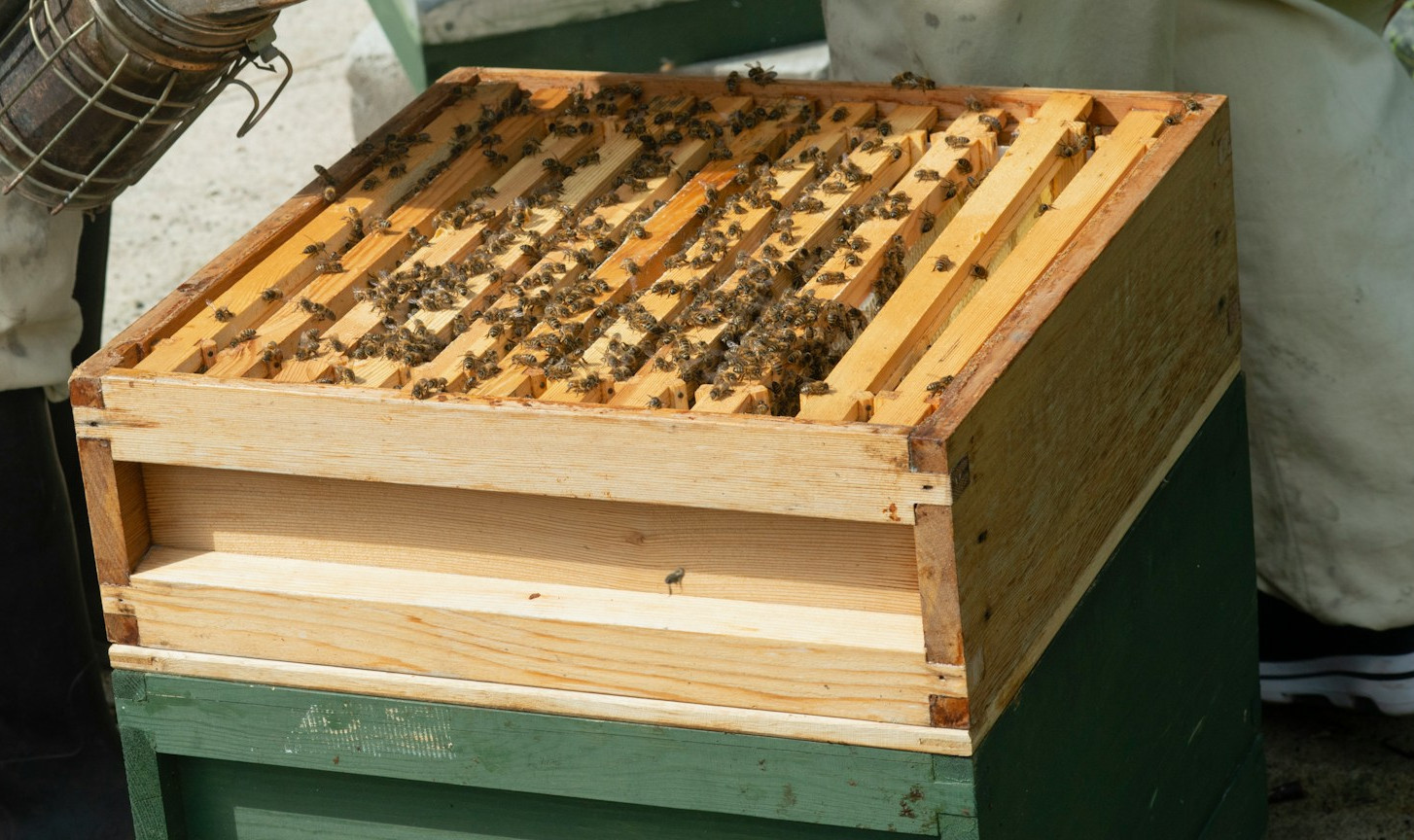 Bee Nest Reaper
